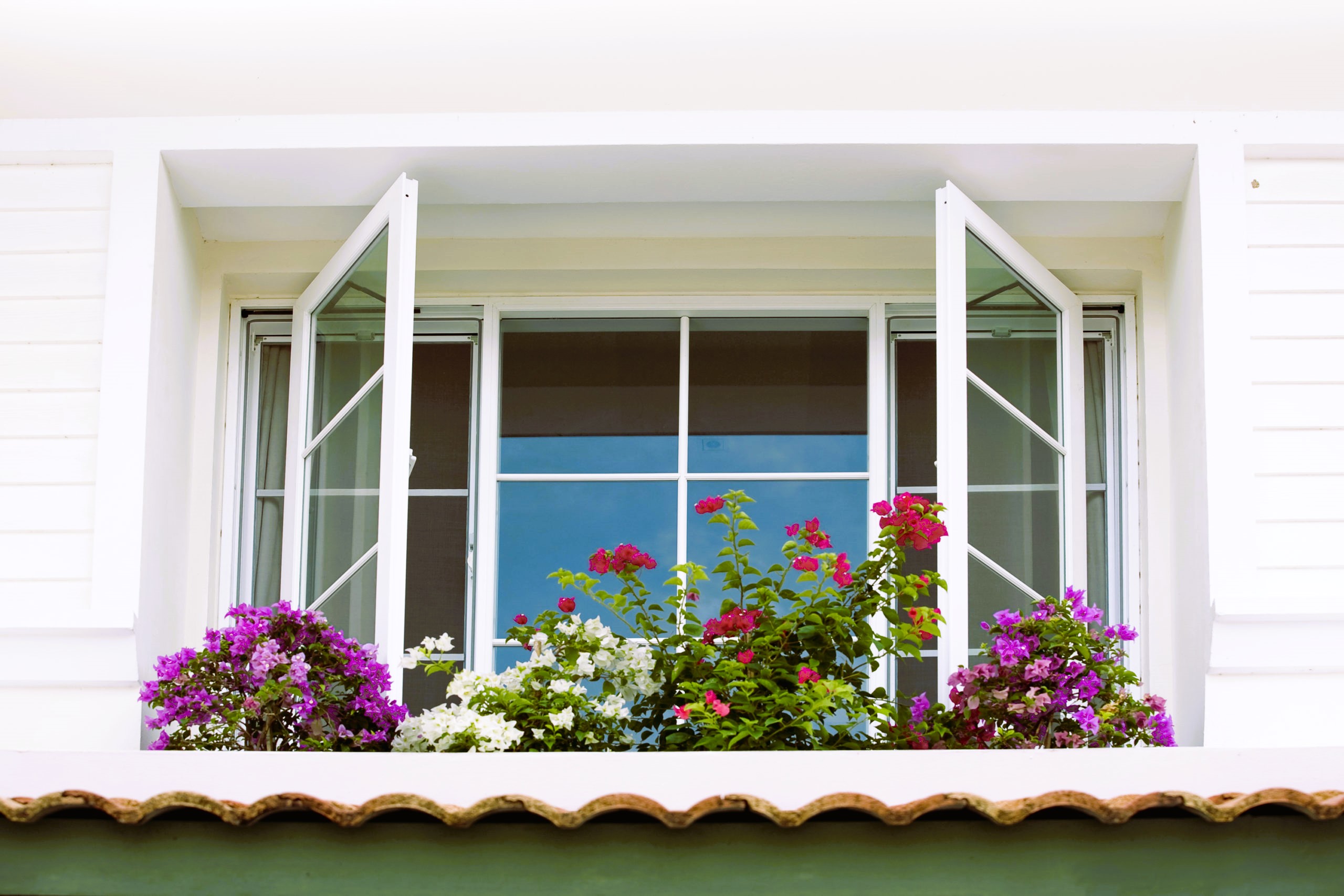common window problems